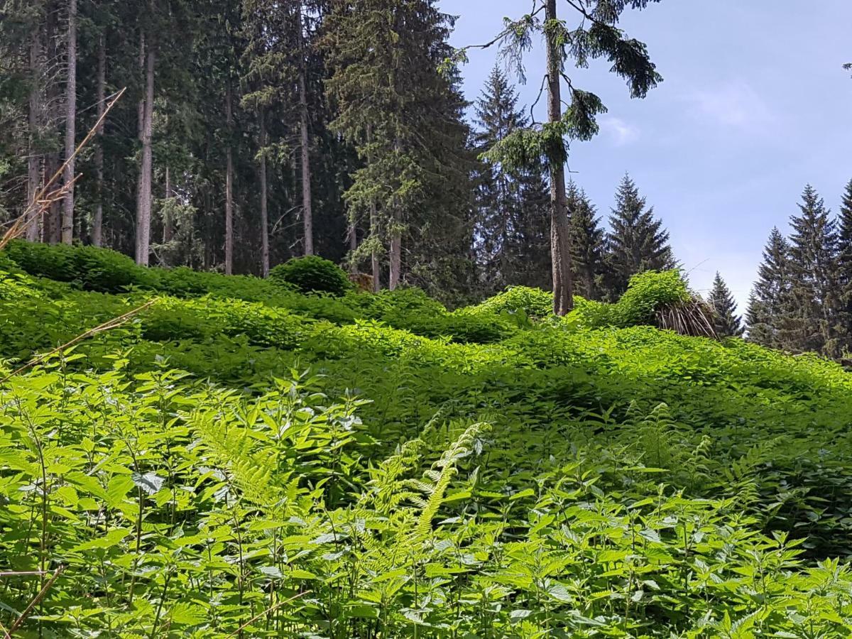 Appartements Burtscher Klosterle am Arlberg Exteriör bild