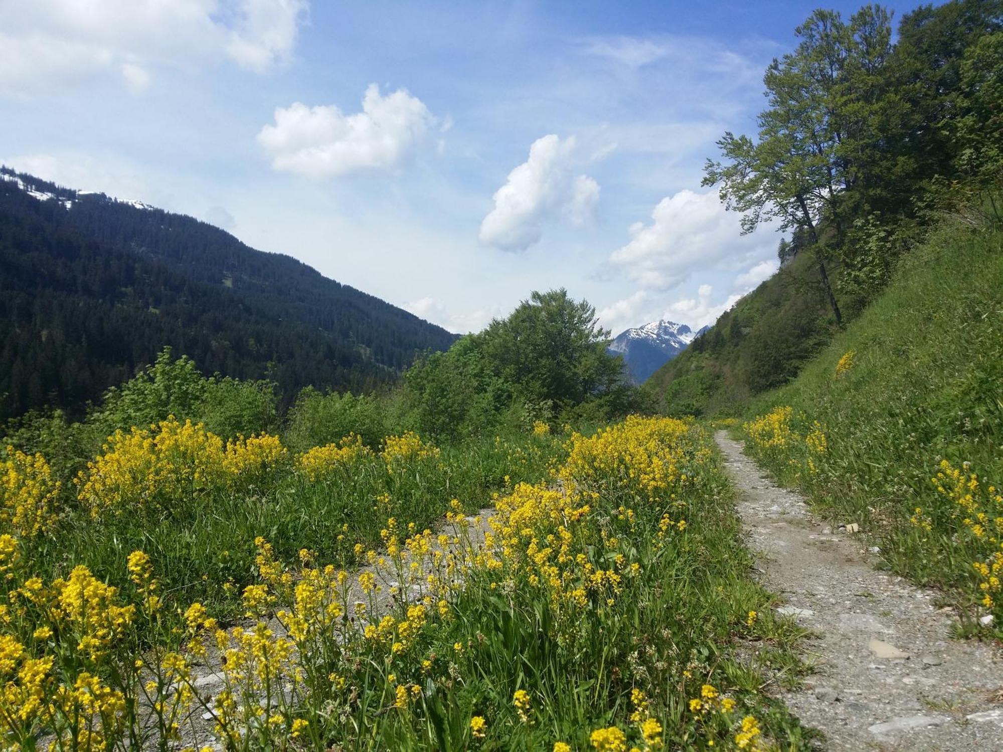Appartements Burtscher Klosterle am Arlberg Exteriör bild